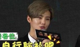 圈内爆料王一博鹿晗,神秘项目引粉丝热议